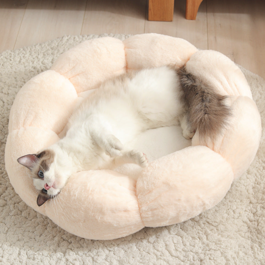 Petal Dream Cat Bed